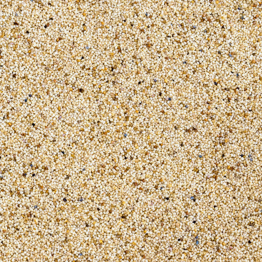 Poppy Seeds - khashkhash