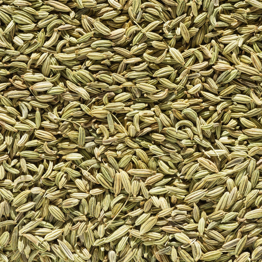 Fennel_Seeds_sonf