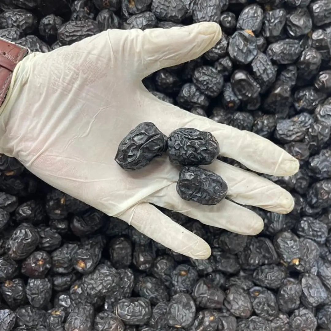 Individual Ajwa Date Classic emphasizing its soft, shiny surface