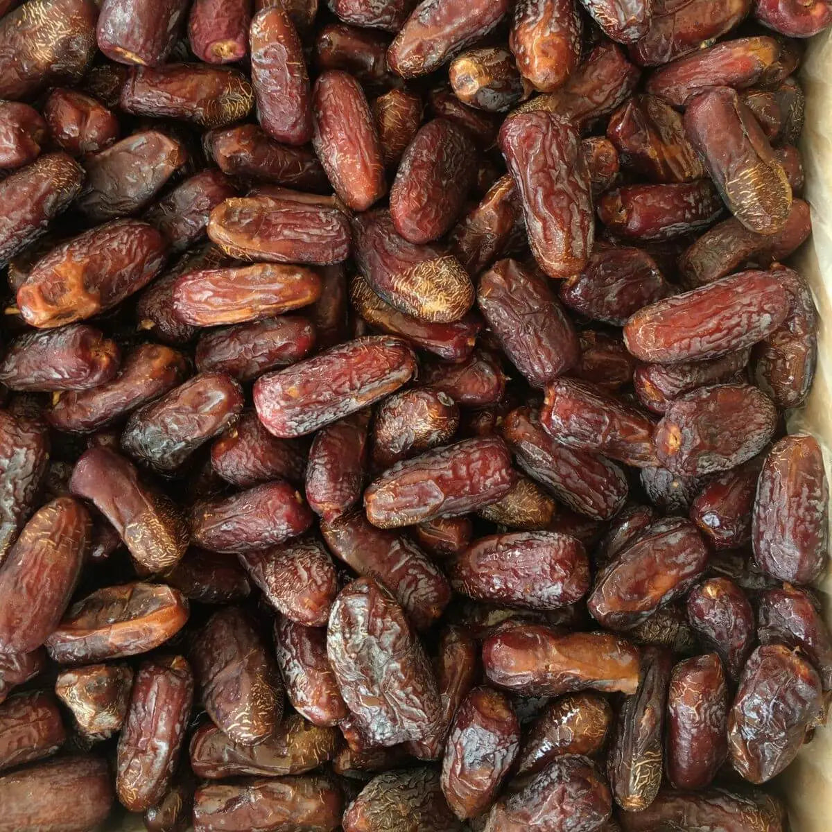 Special Amber Jumbo Date l تمر العنبر