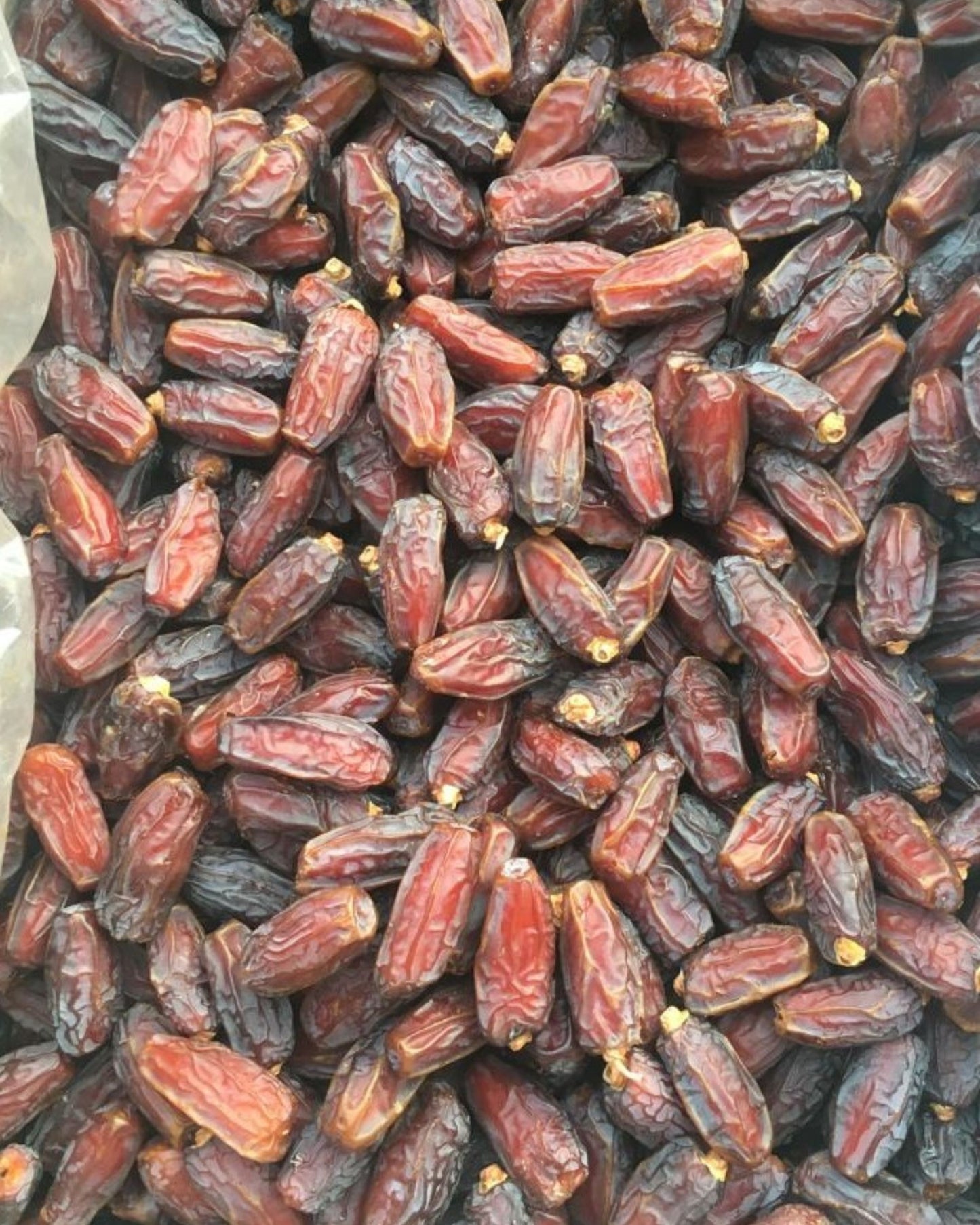 Mabroom Medium