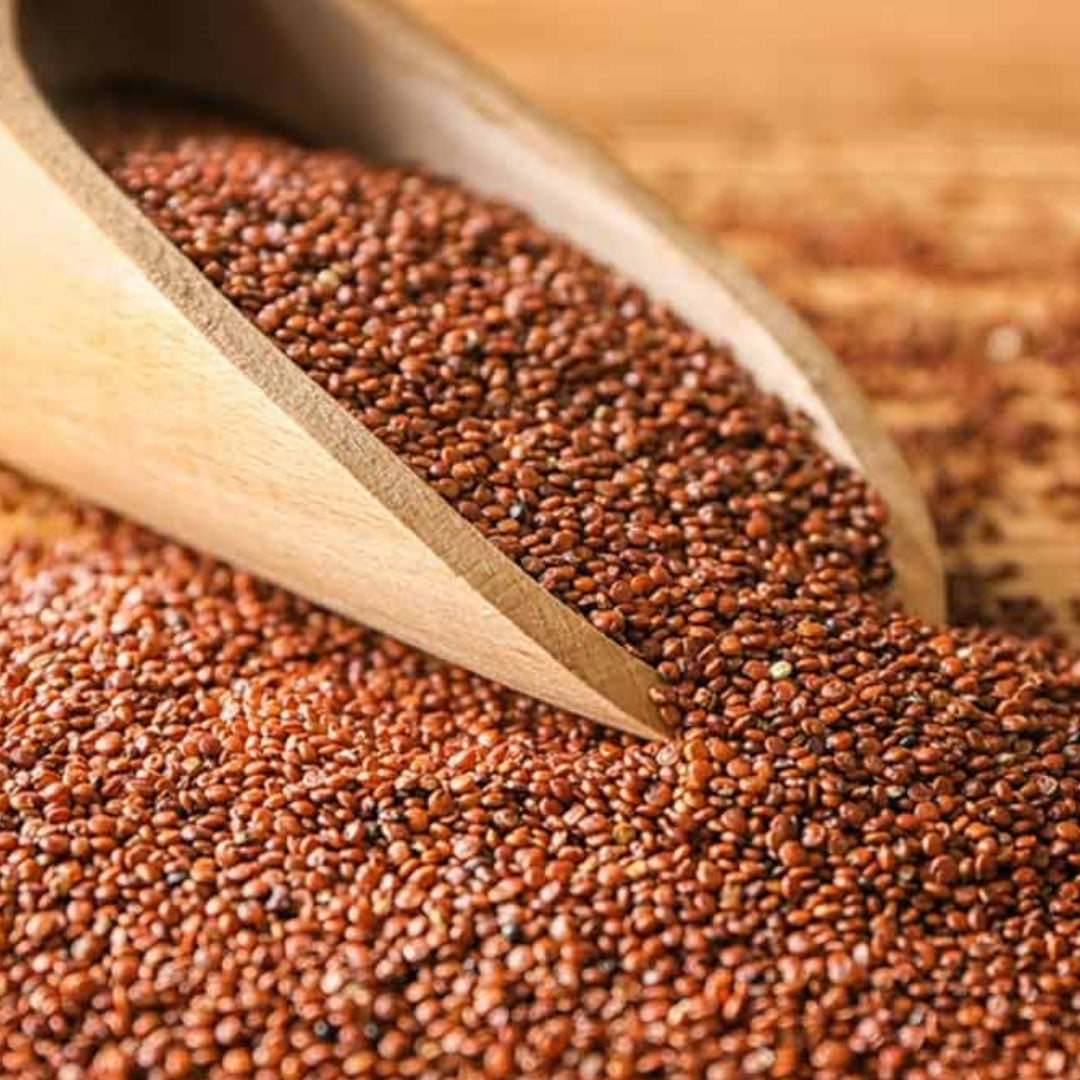 Haloon Seeds