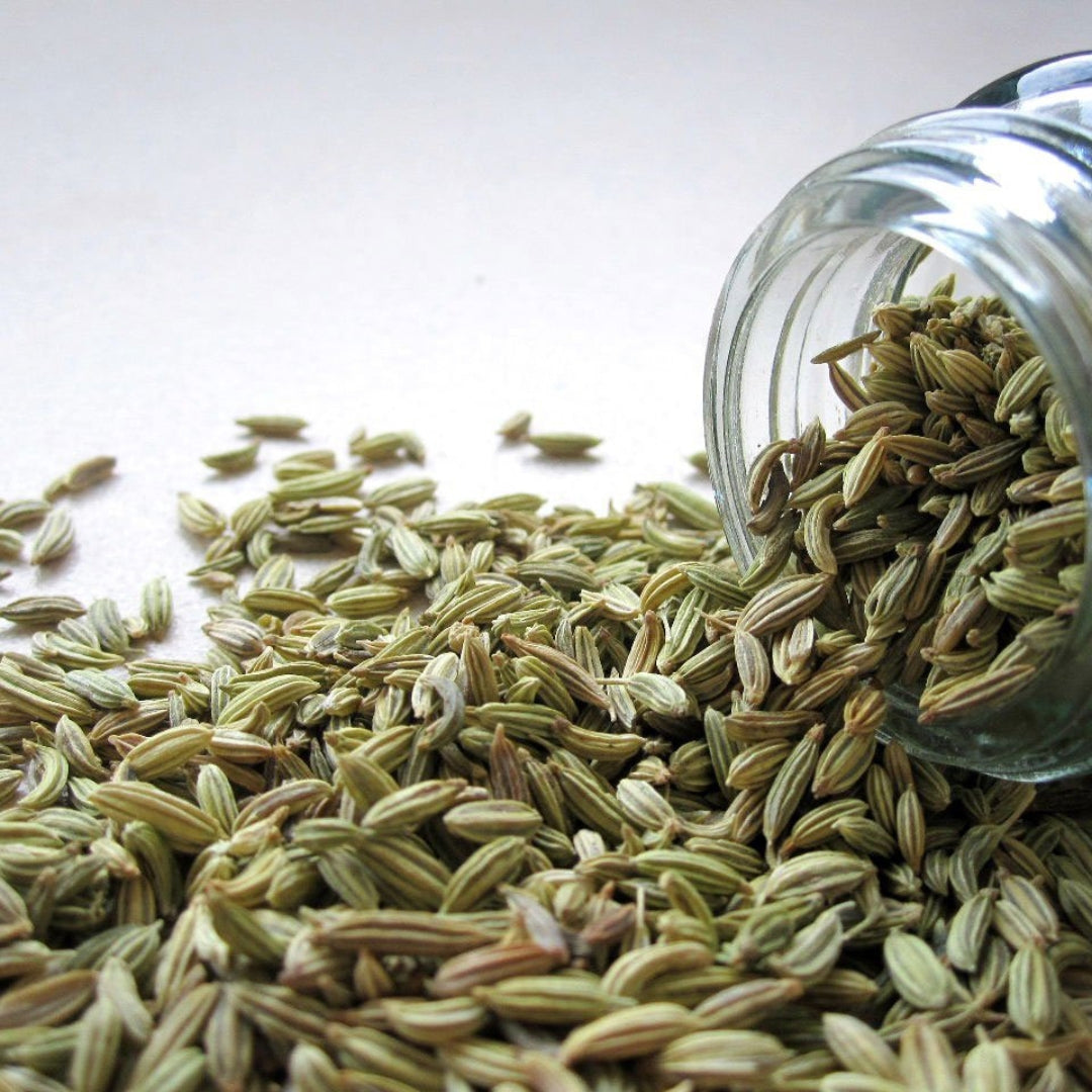Sonf - fennel Seeds